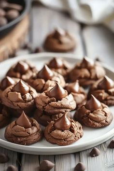 chocolate cupcakes on a white plate with chocolate chips