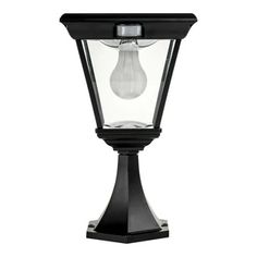 a black post light with a clear glass bulb on the top and bottom part, against a white background