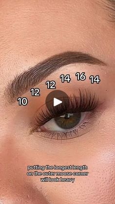 40K views · 591 reactions | Lash Map for Downturned Eyes: 10,12,12,14,16,14. #foryou #lashes #bqlash #makeup #fyp #clusterlashes #grwn #diylashextensions #clusterlashes #bqlashes | B&Q LASH | B&Q LASH · Original audio Lash Extensions Styles Clusters, Lash Map Downturned Eyes, B&q Lash Map, Lash Map Almond Eyes, Lashes Extensions Mapping, Cluster Map, Downturned Eyes, Cheer Makeup, Siren Eyes