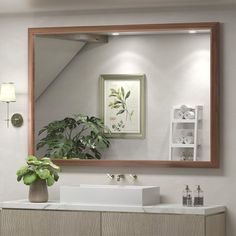 a bathroom vanity with a mirror above it and a potted plant on the counter