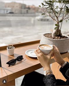 a person sitting at a table with a cup of coffee in front of a potted plant