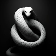 a black and white photo of a snake with its head in the shape of a circle