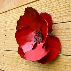 a red flower sitting on top of a wooden wall