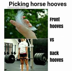 a woman is holding a feather in her hand and the words picking horses hovers front hooves vs back hoovess