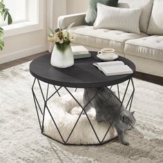 a cat sitting on top of a white rug next to a coffee table with flowers