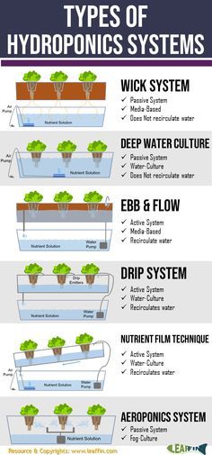 the different types of hydroponics systems are shown in this diagram, which shows how they