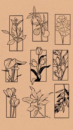 a bunch of flowers that are drawn in black and white