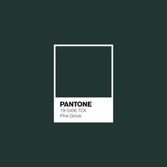 pantone's dark green color is shown with the text pantone on it