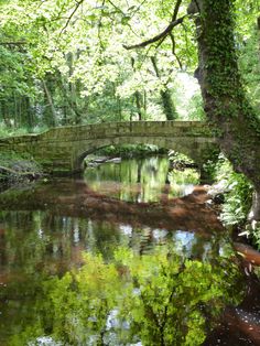 an old stone bridge over a small stream in the middle of a lush green forest