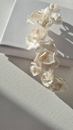 white flowers are on the edge of a piece of paper that is folded in half