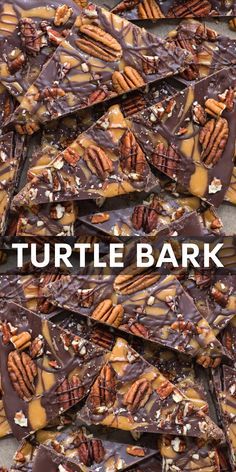 chocolate turtle bark with nuts and pecans on top, in front of the words turtle bark