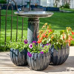 three planters with flowers in them sitting on the ground next to a birdbath