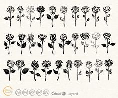 the silhouettes of flowers are drawn in black and white, with leaves on each side