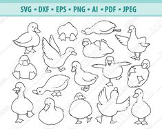 an image of ducks and chicks cliparts for scrapbooking, cards or crafts