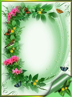 a green frame with pink flowers and butterflies