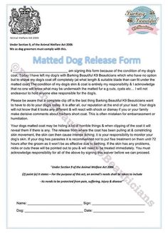 a dog release form is shown in blue and white, with the words matter written on it