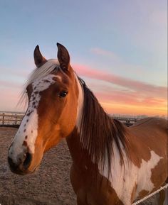 a brown and white horse standing on top of a dirt field next to a fence