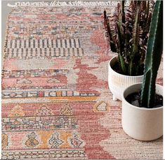 a potted plant sitting on top of a rug