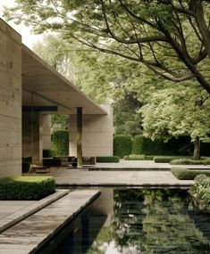 an outdoor swimming pool surrounded by trees and bushes