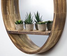 three succulents are sitting on a wooden shelf in front of a mirror