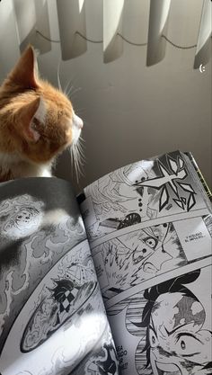 an orange and white cat looking at comic pages