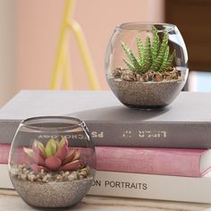 there is a glass bowl with a succulent in it on top of some books