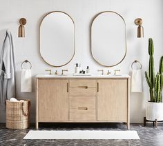 a bathroom with two round mirrors above the sinks and a cactus in front of it