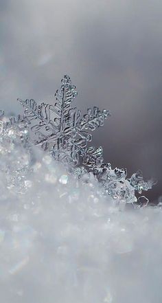 a snowflake that is sitting in the snow