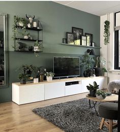 a living room filled with furniture and lots of plants on top of the shelves in front of the tv