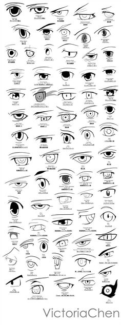 an eye chart with all the different types of eyes