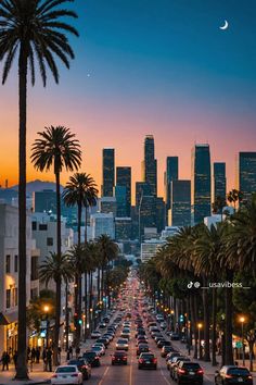 a city street filled with lots of traffic next to tall buildings and palm trees at sunset