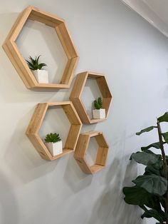 three wooden hexagonal shelves with plants on them hanging from the wall next to a potted plant