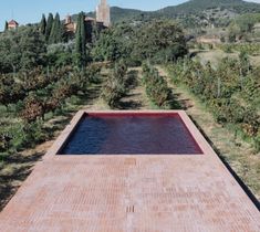 an empty swimming pool surrounded by trees and bushes