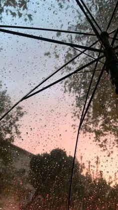 an open umbrella sitting on top of a rain soaked window with trees in the background