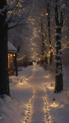 a path that is covered in snow and lit up with christmas lights, surrounded by trees