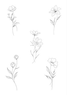 four different types of flowers are shown in this drawing lesson for beginner to learn how to