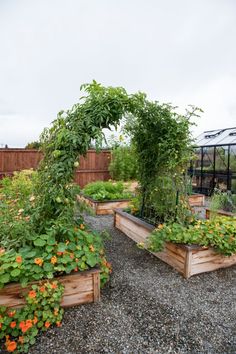 several wooden planters filled with different types of flowers and plants growing inside of them