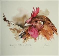 a watercolor painting of a rooster's head