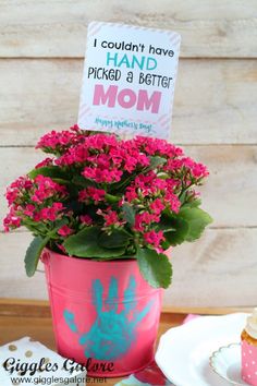 a pink flower pot sitting on top of a table next to a plate with cupcakes