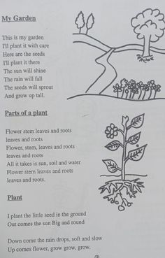 a page in a book with an illustration of plants and flowers on the bottom right hand corner