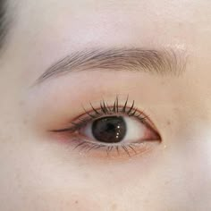 Korean Brows, Japanese Eyebrows, Fix Eyebrows, Eyebrows Shape