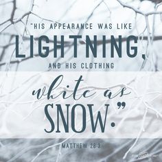 a quote on white as snow with branches in the foreground and sky in the background