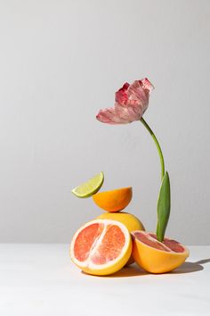 a flower that is sitting on top of some oranges and grapefruits