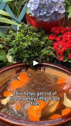 a person is cutting carrots in a pot full of water and some flowers behind them