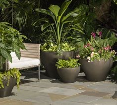 several large planters with plants in them sitting on a stone floor next to a bench