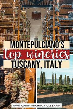 the top wineries in tuscany, italy with text overlay that reads montepulcanoo's top wines