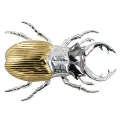 a silver and gold beetle on a white background