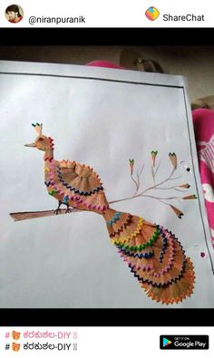 an image of a peacock made out of crepe paper on a piece of paper