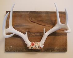 an antlers head mounted on a wooden board with floral fabric hanging from it's sides