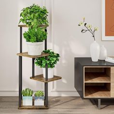 three potted plants sit on shelves in the corner of a room